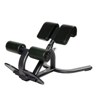 Back Extension Bench