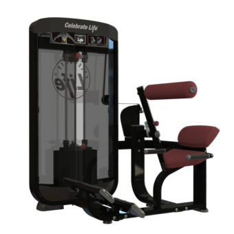 Blaze 2.0  Back Extention