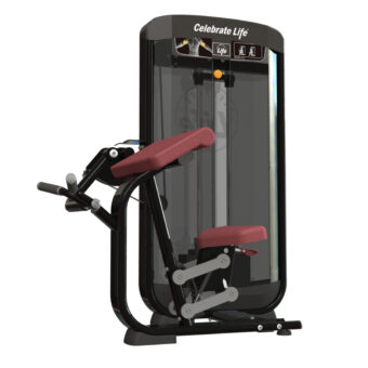 Blaze 2.0  Seated Bicep Curl