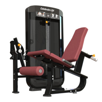 Blaze 2.0  Leg Extention