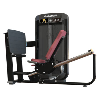 Blaze 2.0  Leg Press